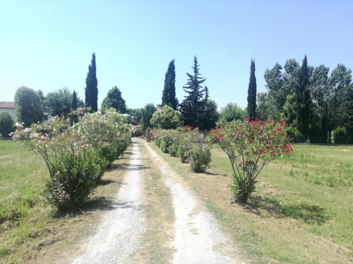 B&B Il Parco San Giuliano Terme Εξωτερικό φωτογραφία